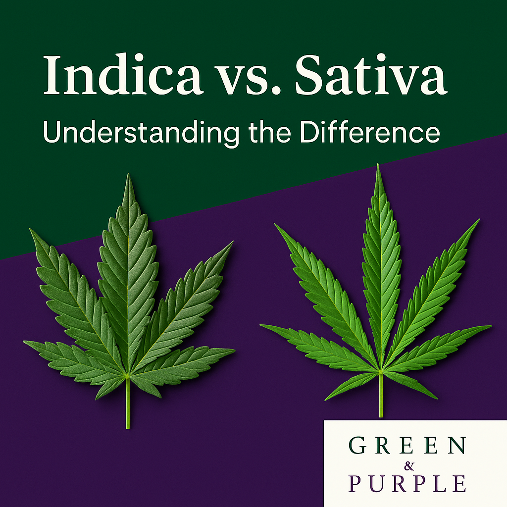 Indica vs. Sativa: Understanding the Difference