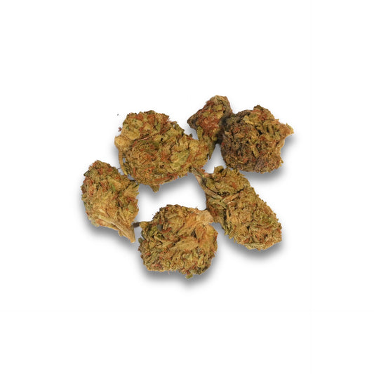 Akira Greenhouse 1G