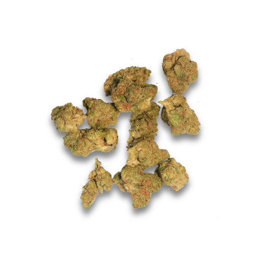 Original Blitz 1G